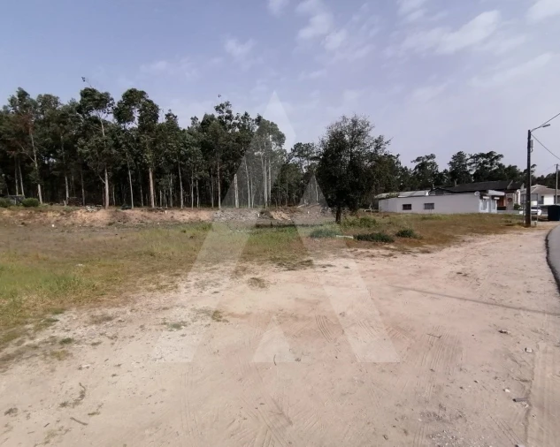 Terreno P/ Prédio para Venda em Oliveira do Bairro Foto 8
