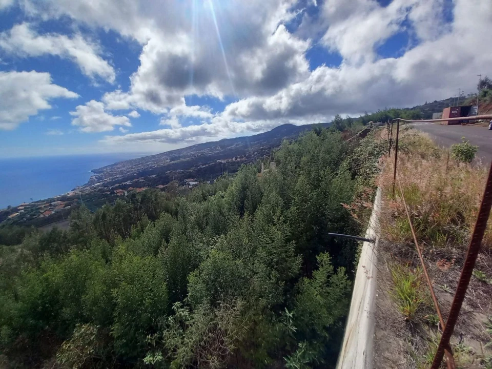 Terreno para Venda em Santa Cruz Foto 3
