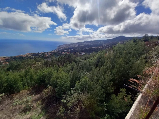 Terreno para Venda em Santa Cruz Foto 2