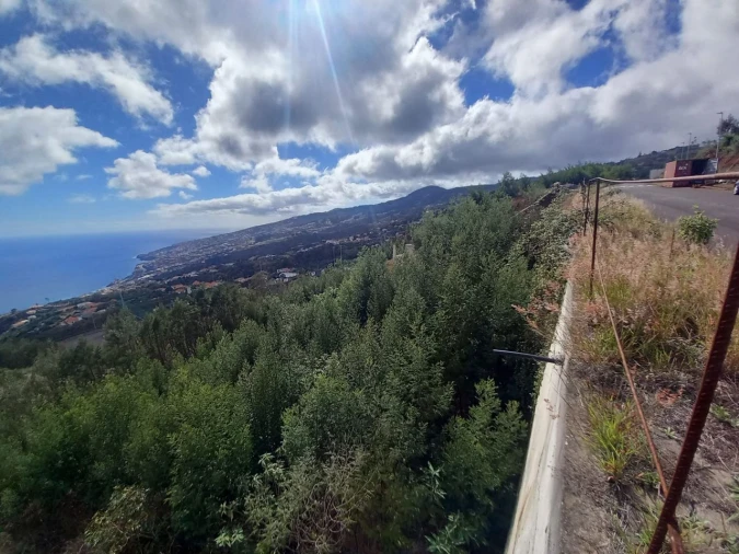 Terreno para Venda em Santa Cruz Foto 3