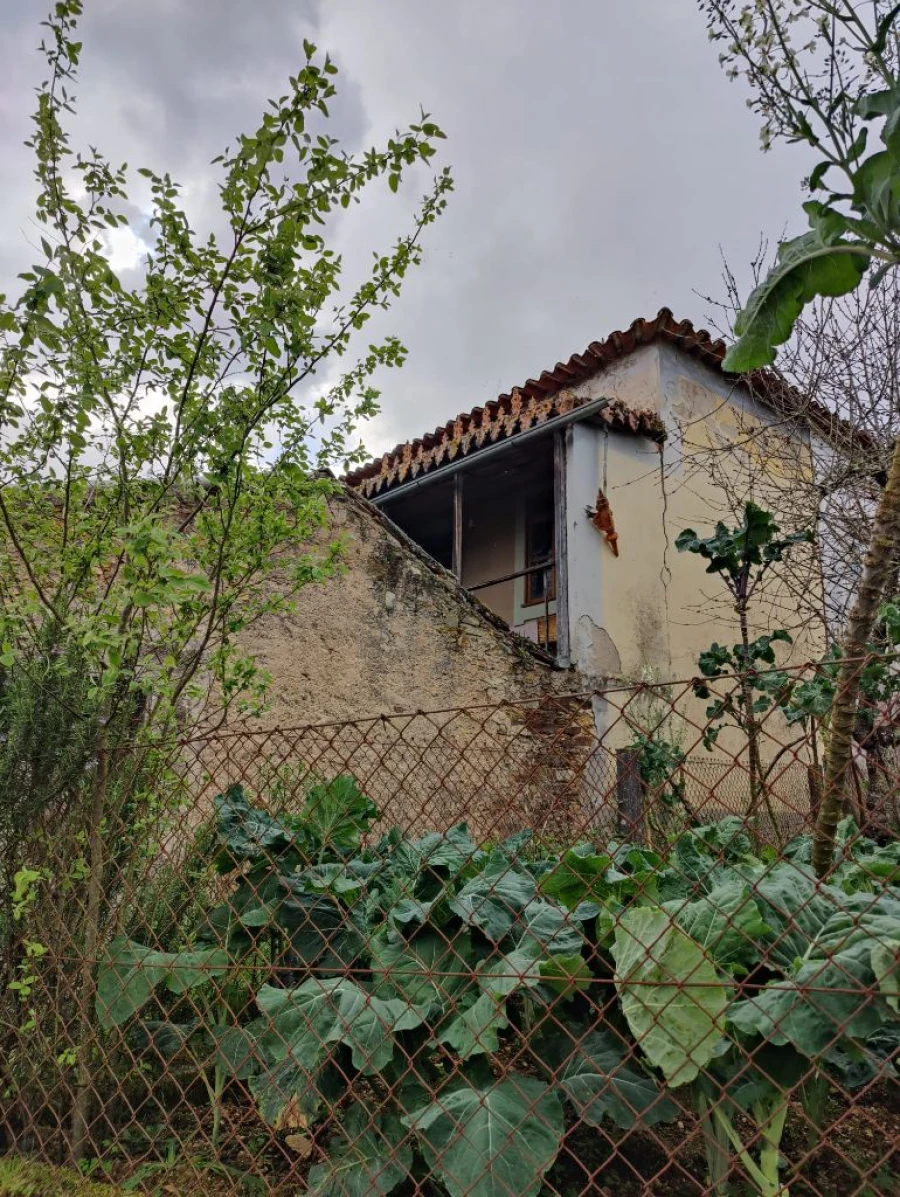 Moradia T3 para Venda em Arieiro, Oliveira do Mondego, Penacova Foto 15