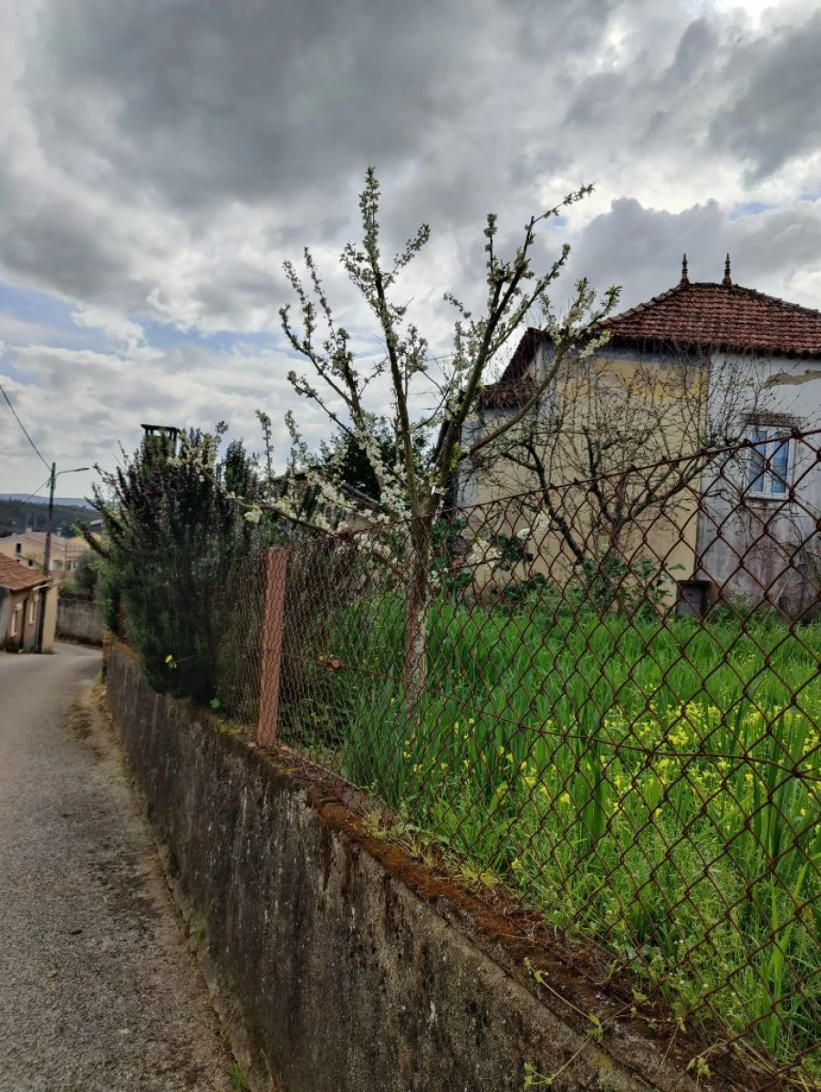 Moradia T3 para Venda em Arieiro, Oliveira do Mondego, Penacova Foto 16