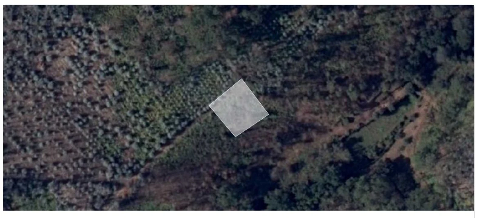 Terreno para Venda em Oliveira do Mondego Foto 1