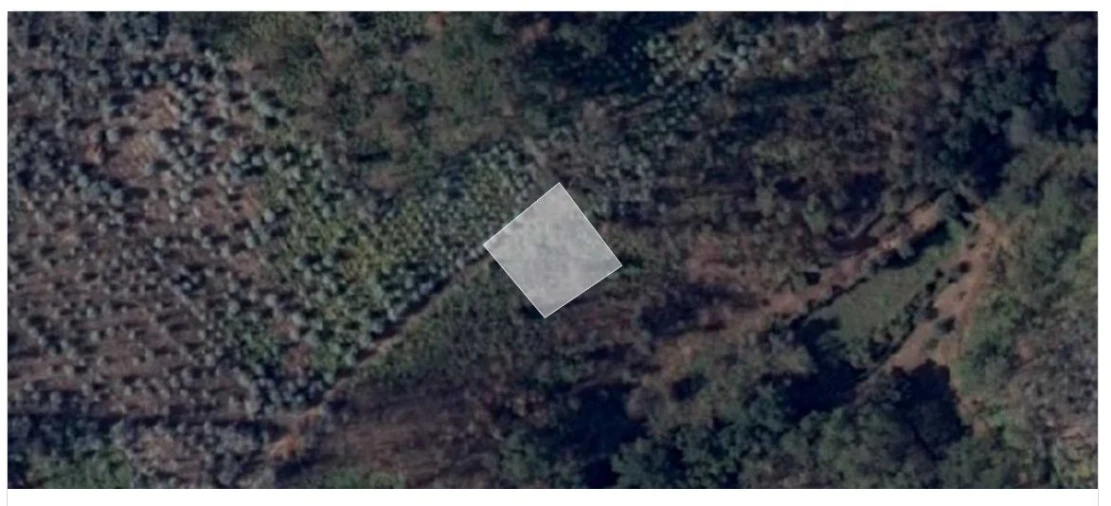 Terreno para Venda em Oliveira do Mondego