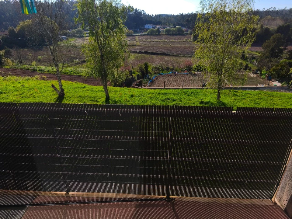 Apartamento T3 para Arrendamento em Rua de espargo de baixo, espargo Foto 15