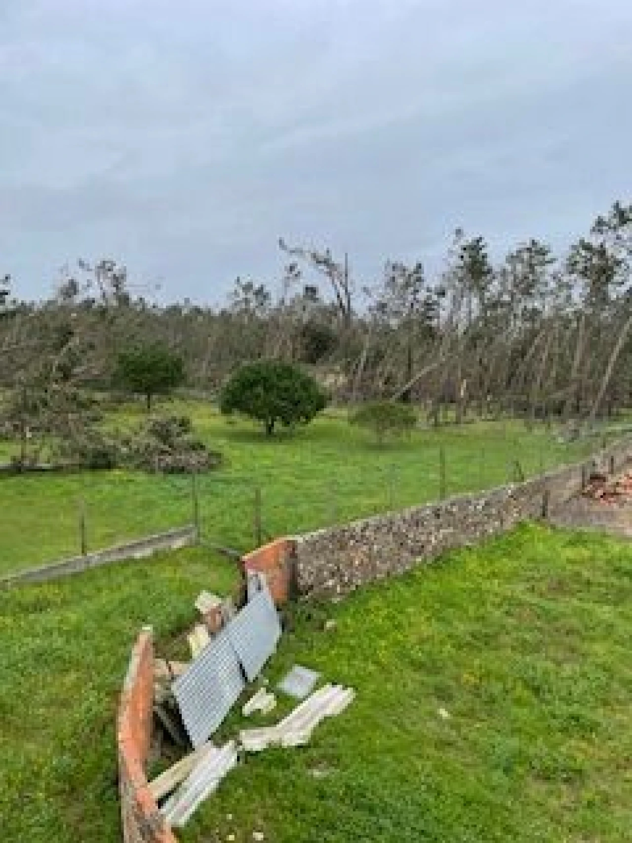 Terreno para Venda em Vieira de Leiria Foto 1