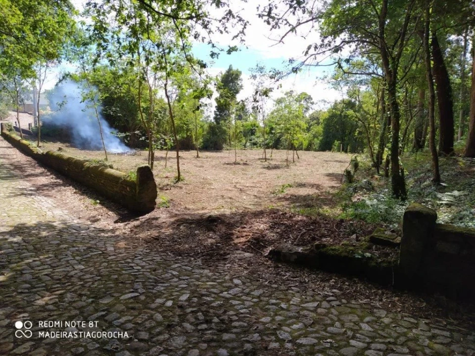 Terreno para Venda em Seixas Foto 2