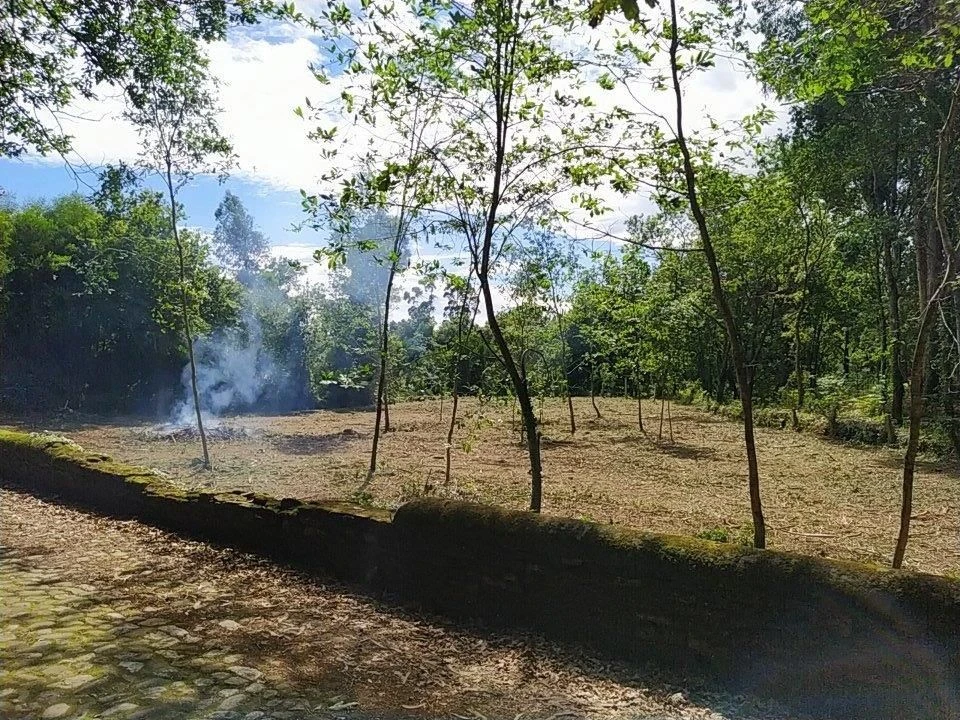 Terreno para Venda em Seixas Foto 5