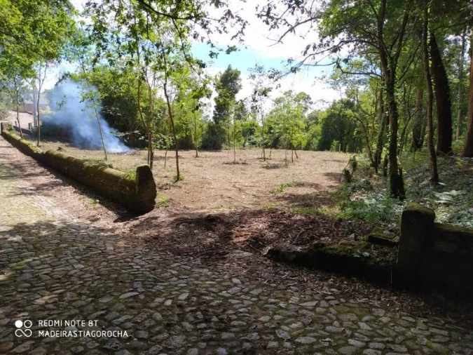 Terreno para Venda em Seixas Foto 2