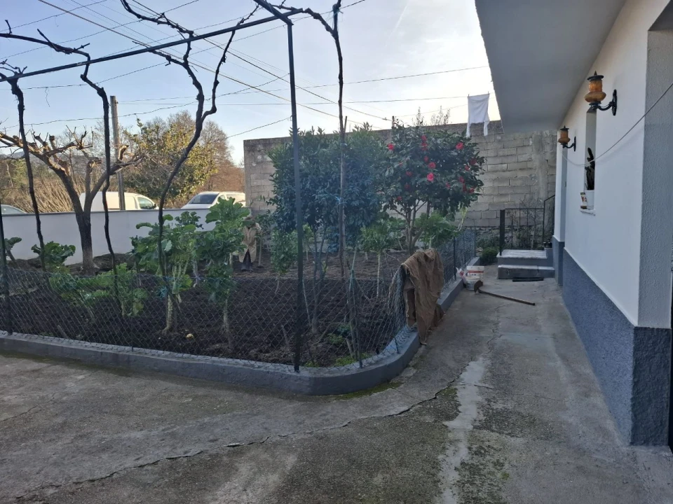 Moradia T3 para Venda em Lajeosa do Mondego Foto 6