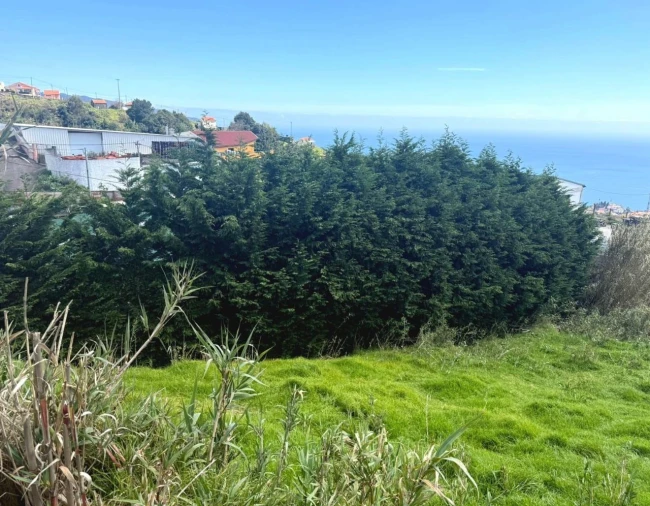 Terreno para Venda em Canhas Foto 9