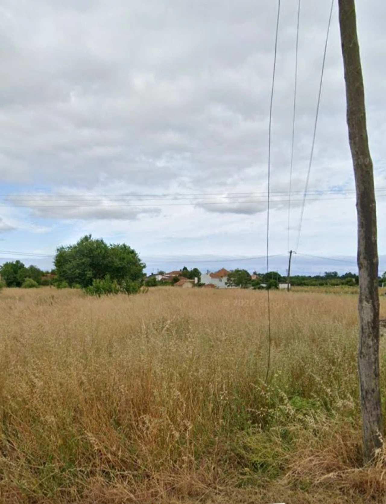 Terreno para Venda em Vagos Foto 2