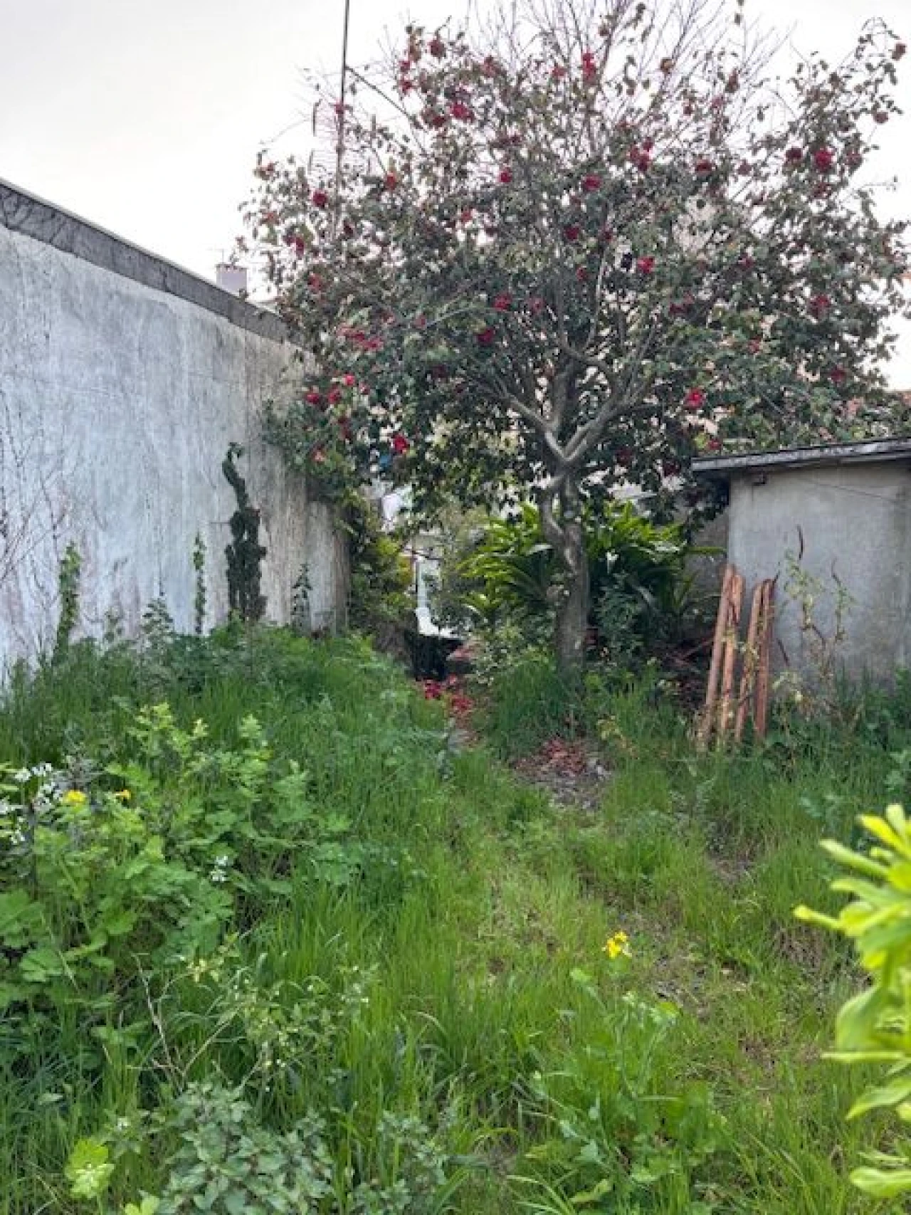 Moradia T3 para Venda em Porto Foto 12