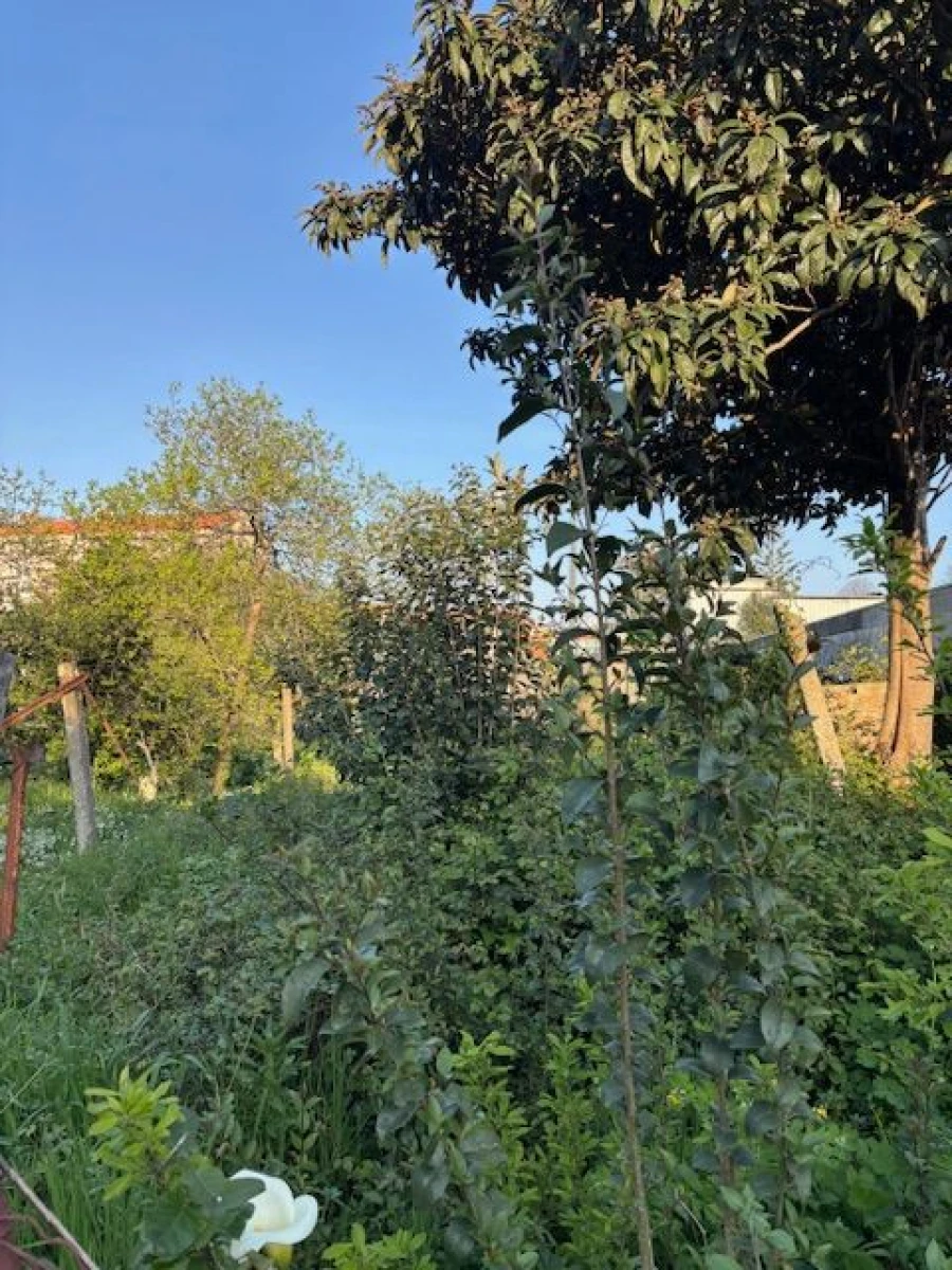 Moradia T3 para Venda em Porto Foto 11