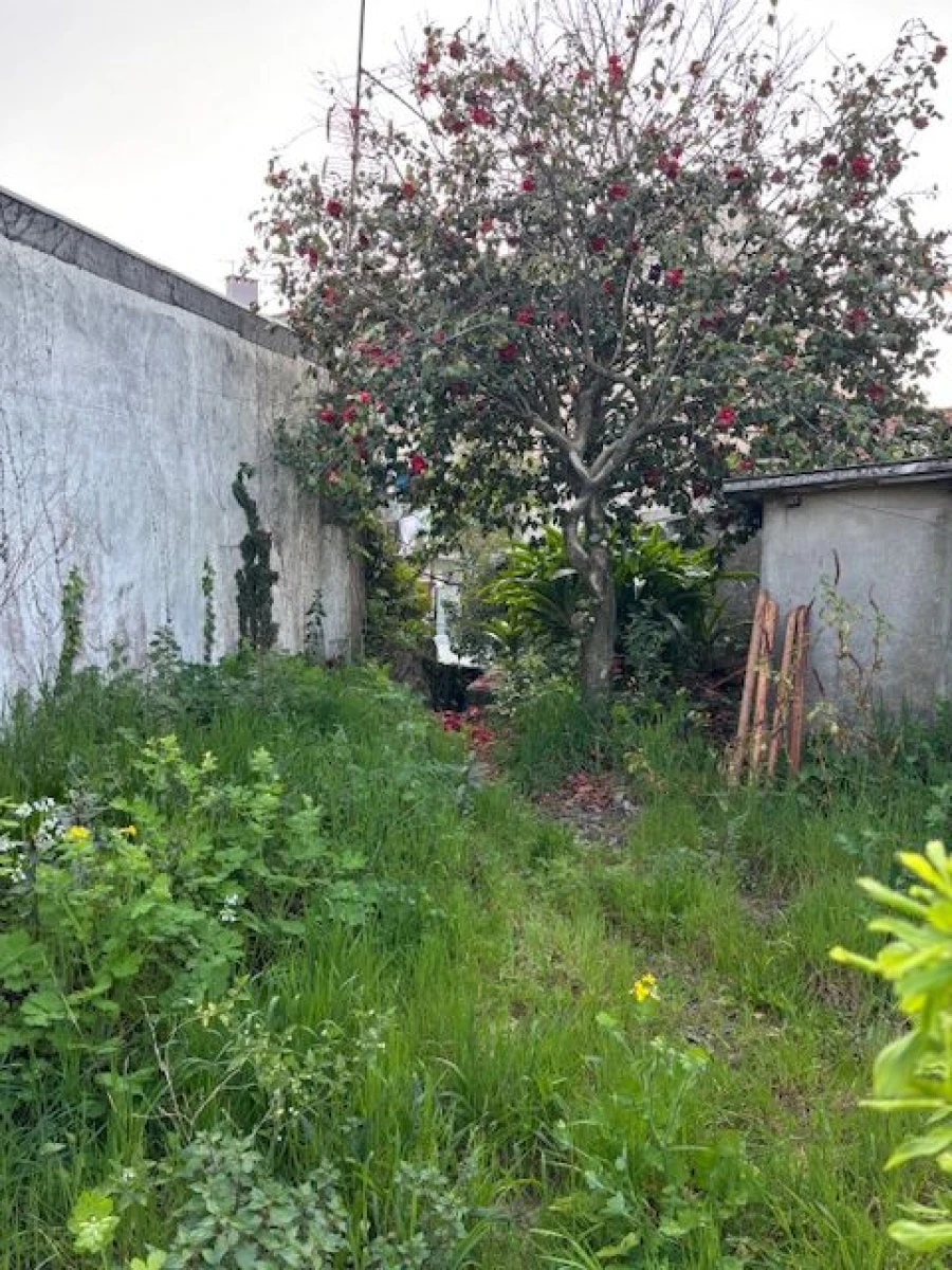 Moradia T3 para Venda em Porto Foto 12