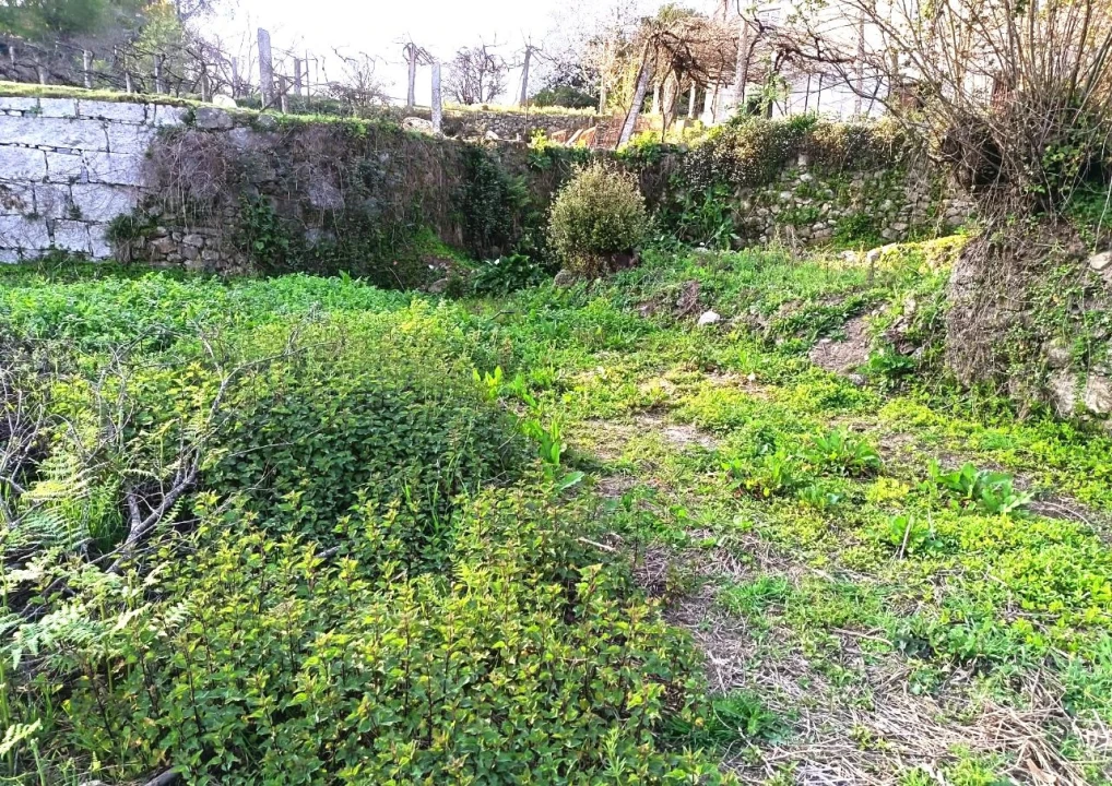 Terreno P/ Prédio para Venda em Arcos de Valdevez Foto 2