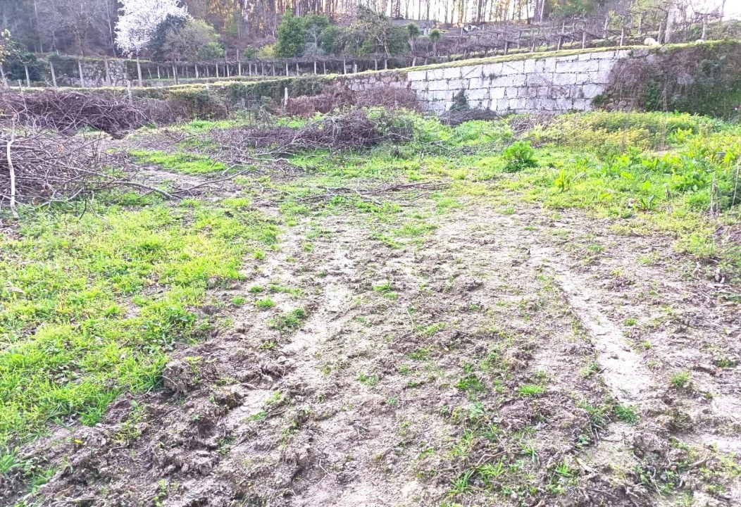 Terreno P/ Prédio para Venda em Arcos de Valdevez Foto 2