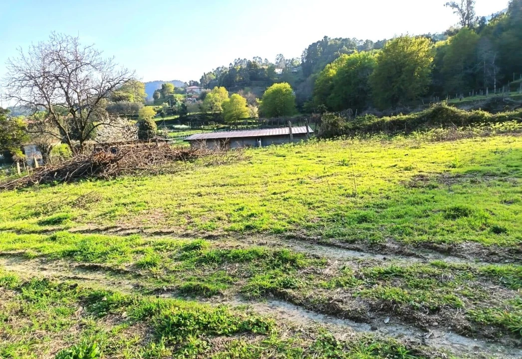 Terreno P/ Prédio para Venda em Arcos de Valdevez Foto 1