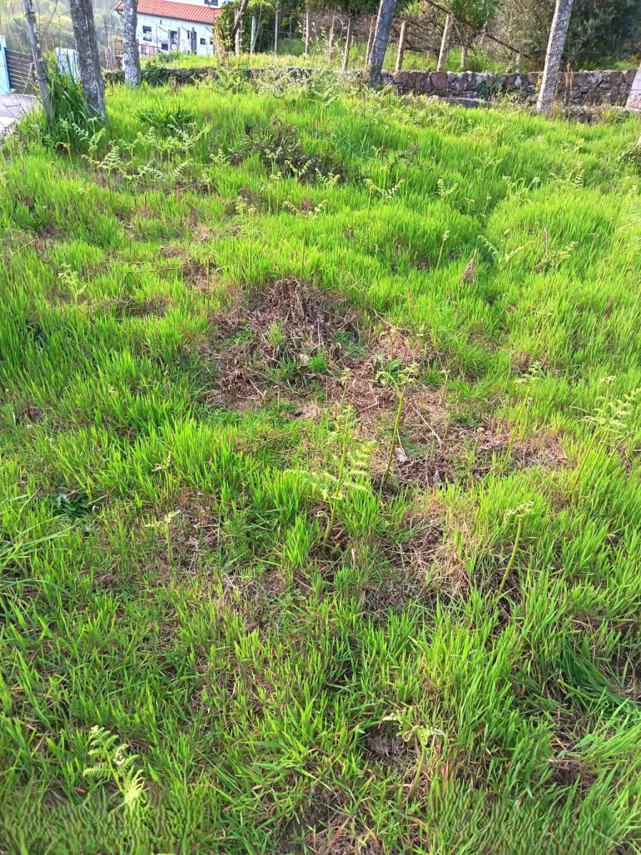 Moradia para Venda em Arcos de Valdevez Foto 10