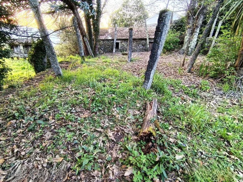 Moradia para Venda em Arcos de Valdevez Foto 5