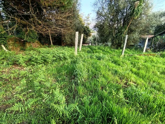 Moradia para Venda em Arcos de Valdevez Foto 11