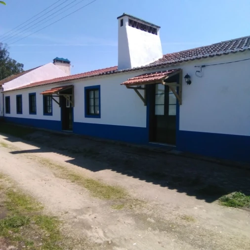 Moradia T3 para Arrendamento em Moinho de Vale de Flores