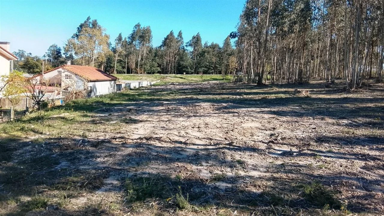 Quinta para Venda em Naia Foto 3