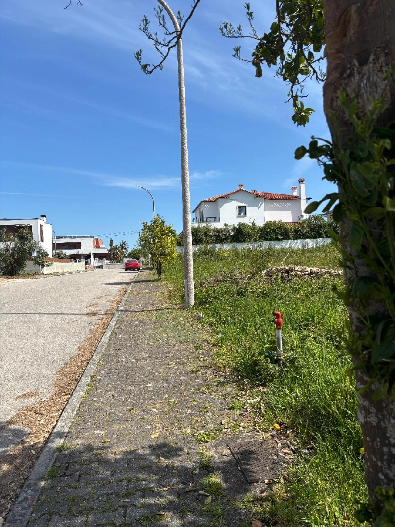 Terreno para Venda em Leiria Foto 8