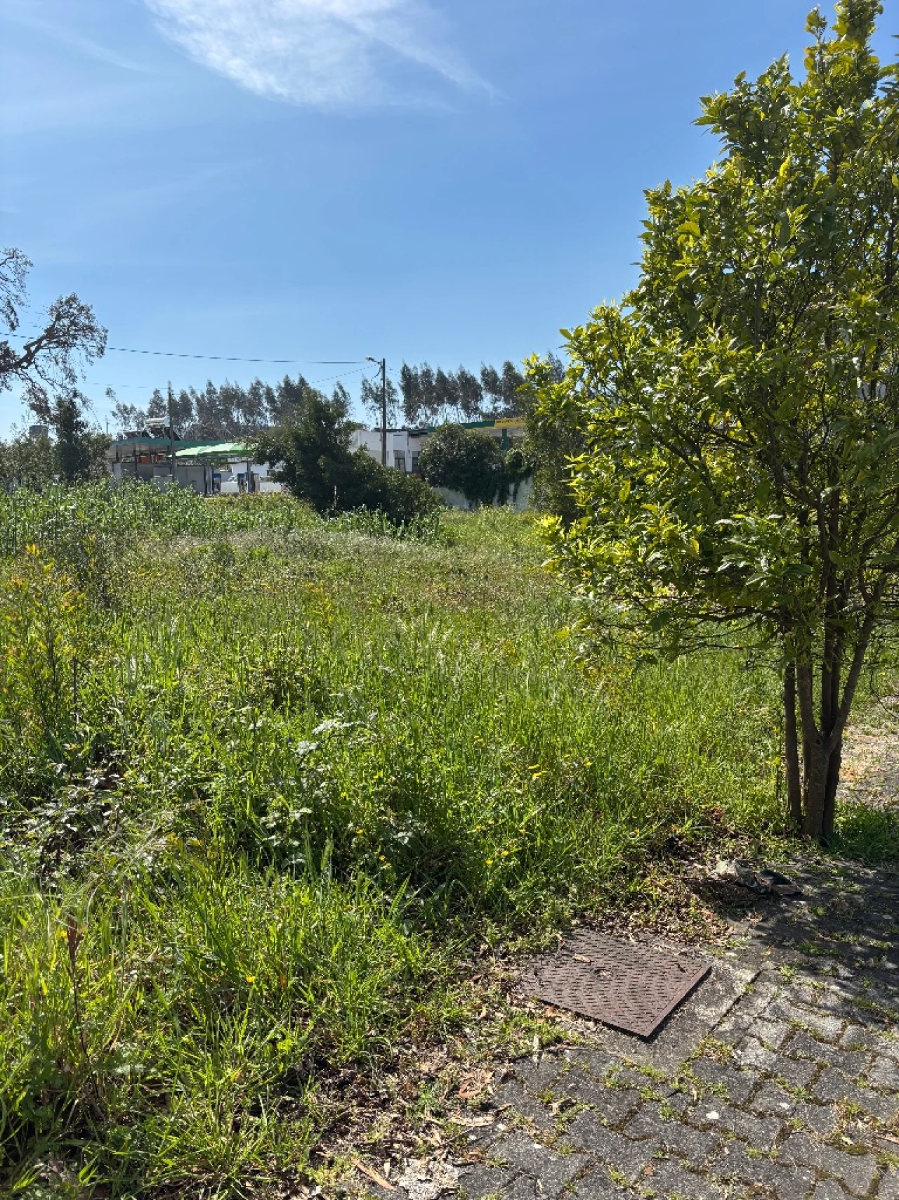 Terreno para Venda em Leiria Foto 11