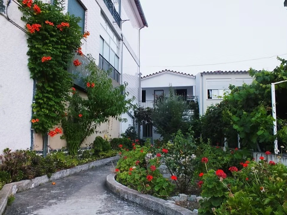 Prédio para Venda em Vila Nova de Foz Côa Foto 9