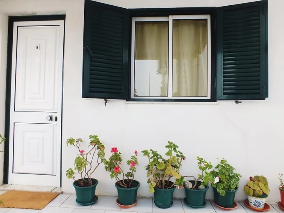 Prédio para Venda em Vila Nova de Foz Côa Foto 14