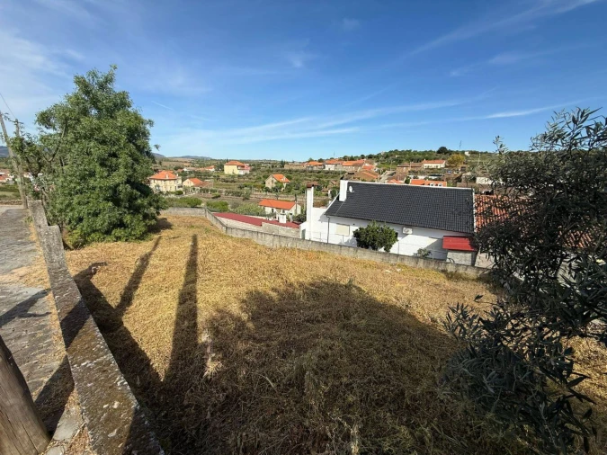 Terreno P/ Prédio para Venda em Almendra Foto 2