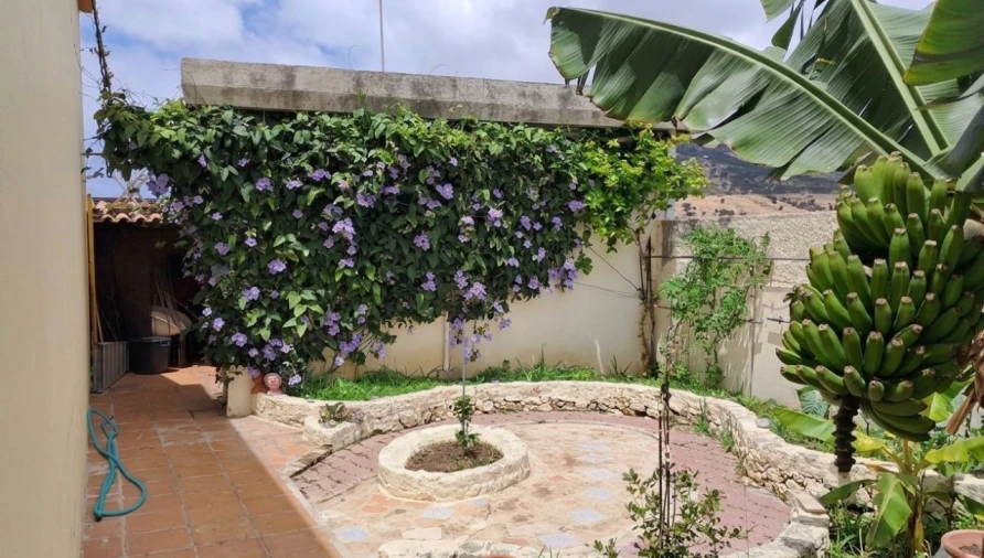 Moradia T3 para Venda em Porto Santo Foto 11