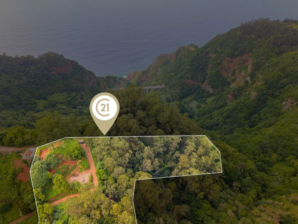 Terreno P/ Prédio para Venda em Ribeira Funda - Caminho do Serrado Foto 3