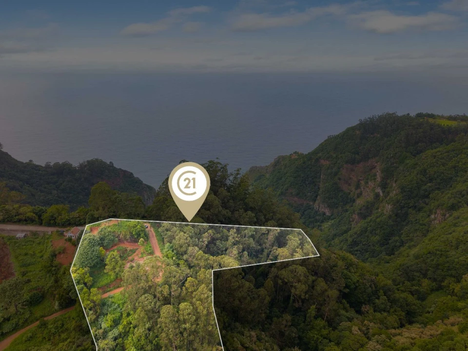 Terreno P/ Prédio para Venda em Ribeira Funda - Caminho do Serrado Foto 4