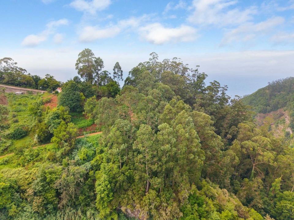 Terreno P/ Prédio para Venda em Ribeira Funda - Caminho do Serrado Foto 12