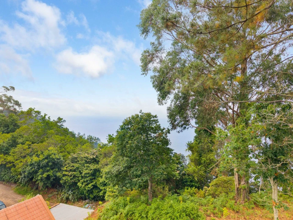 Terreno P/ Prédio para Venda em Ribeira Funda - Caminho do Serrado Foto 11