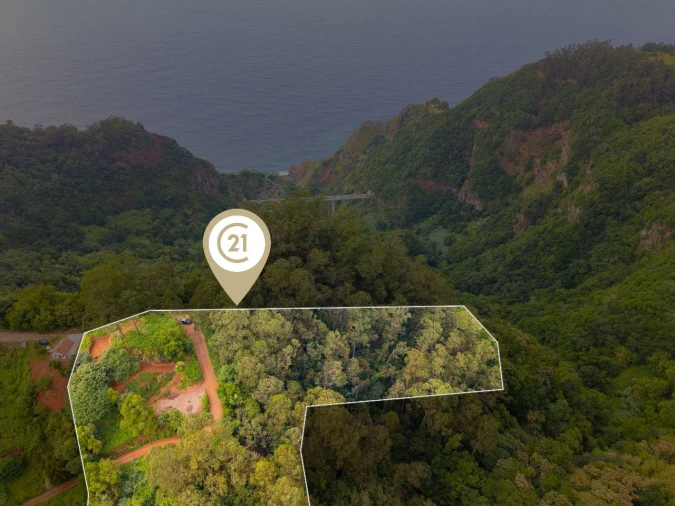 Terreno P/ Prédio para Venda em Ribeira Funda - Caminho do Serrado Foto 3