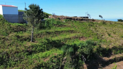 Terreno P/ Prédio para Venda em Ponta do Pargo