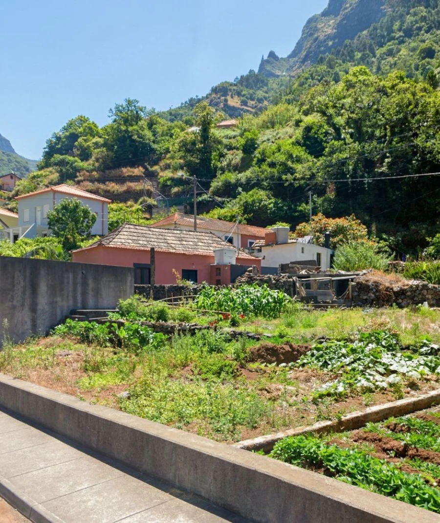 Moradia T2 para Venda em Serra de Água Foto 6