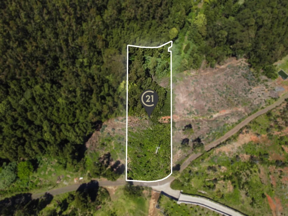 Terreno para Venda em Gaula Foto 1