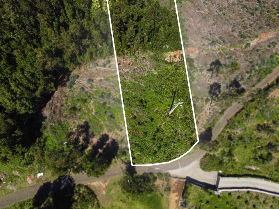 Terreno para Venda em Gaula Foto 4