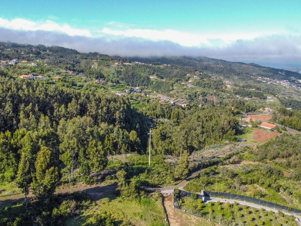 Terreno para Venda em Gaula Foto 3