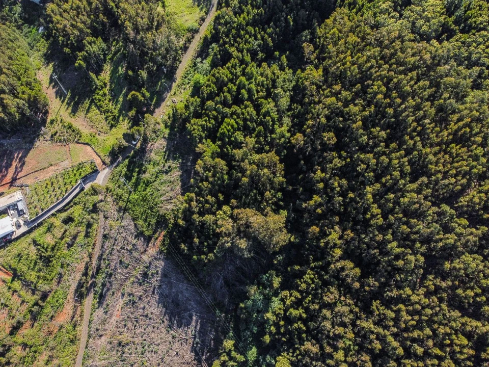 Terreno para Venda em Gaula Foto 5