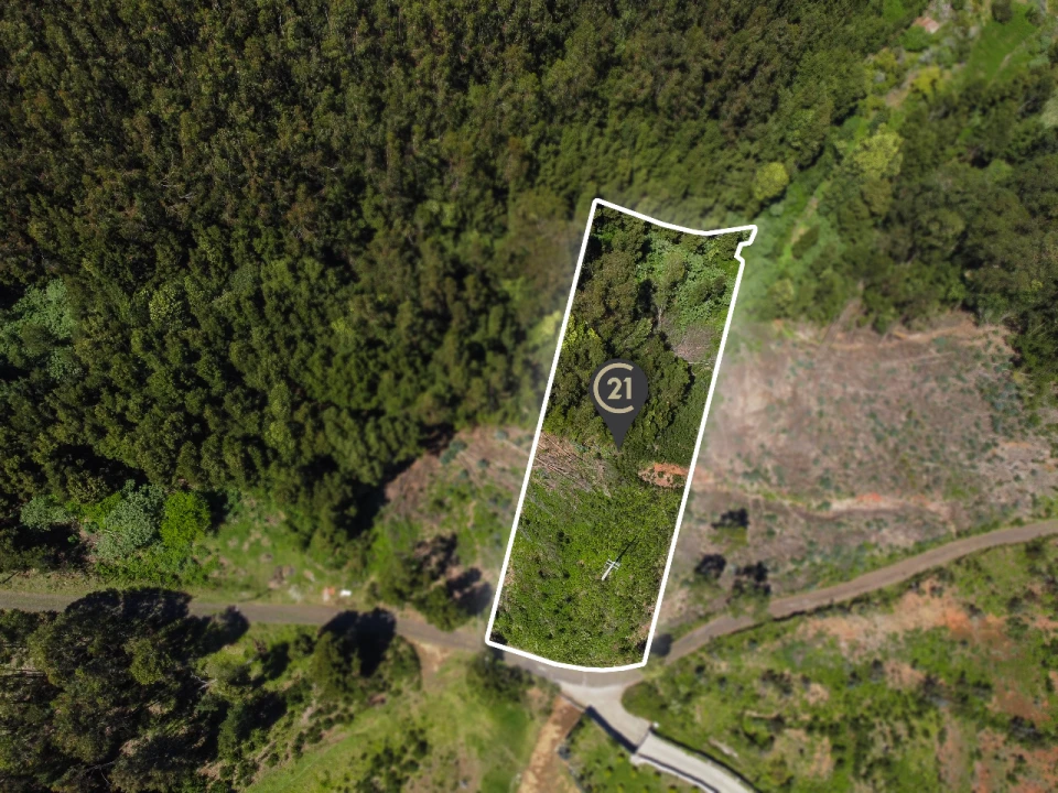 Terreno para Venda em Gaula Foto 11