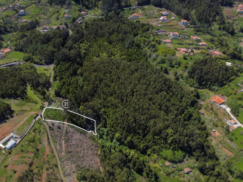 Terreno para Venda em Gaula Foto 15