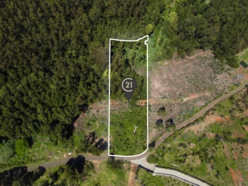 Terreno para Venda em Gaula