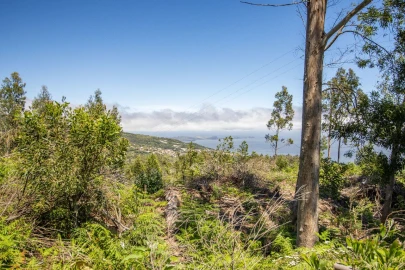 Terreno para Venda em Gaula