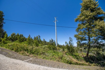 Terreno para Venda em Gaula