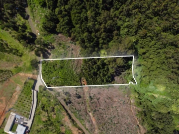 Terreno para Venda em Gaula